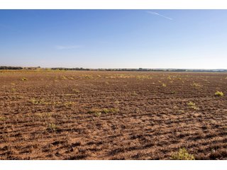 Property photo 17 - LAND AUCTION 2,427+/- ACRES OFFERED IN 14 TRACTS IN CUSTER COUNTY, OKLAHOMA