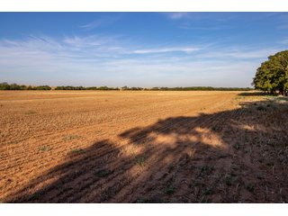 Property photo 20 - LAND AUCTION 2,427+/- ACRES OFFERED IN 14 TRACTS IN CUSTER COUNTY, OKLAHOMA
