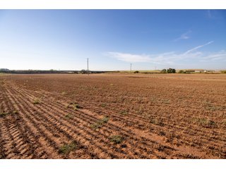 Property photo 21 - LAND AUCTION 2,427+/- ACRES OFFERED IN 14 TRACTS IN CUSTER COUNTY, OKLAHOMA