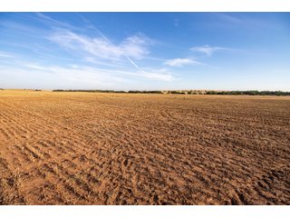 Property photo 23 - LAND AUCTION 2,427+/- ACRES OFFERED IN 14 TRACTS IN CUSTER COUNTY, OKLAHOMA