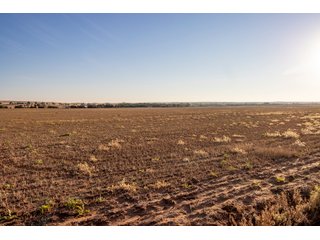 Property photo 24 - LAND AUCTION 2,427+/- ACRES OFFERED IN 14 TRACTS IN CUSTER COUNTY, OKLAHOMA