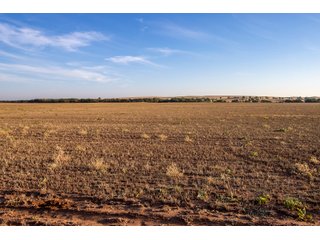 Property photo 25 - LAND AUCTION 2,427+/- ACRES OFFERED IN 14 TRACTS IN CUSTER COUNTY, OKLAHOMA