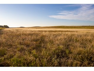 Property photo 57 - LAND AUCTION 2,427+/- ACRES OFFERED IN 14 TRACTS IN CUSTER COUNTY, OKLAHOMA