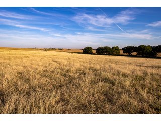 Property photo 58 - LAND AUCTION 2,427+/- ACRES OFFERED IN 14 TRACTS IN CUSTER COUNTY, OKLAHOMA