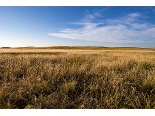Property photo 52 - LAND AUCTION 2,427+/- ACRES OFFERED IN 14 TRACTS IN CUSTER COUNTY, OKLAHOMA