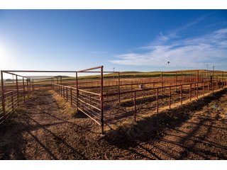Property photo 53 - LAND AUCTION 2,427+/- ACRES OFFERED IN 14 TRACTS IN CUSTER COUNTY, OKLAHOMA