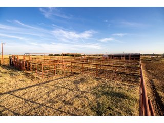 Property photo 63 - LAND AUCTION 2,427+/- ACRES OFFERED IN 14 TRACTS IN CUSTER COUNTY, OKLAHOMA