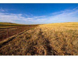 Property photo 64 - LAND AUCTION 2,427+/- ACRES OFFERED IN 14 TRACTS IN CUSTER COUNTY, OKLAHOMA
