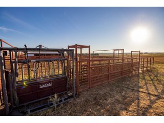 Property photo 65 - LAND AUCTION 2,427+/- ACRES OFFERED IN 14 TRACTS IN CUSTER COUNTY, OKLAHOMA