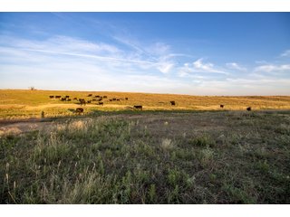 Property photo 74 - LAND AUCTION 2,427+/- ACRES OFFERED IN 14 TRACTS IN CUSTER COUNTY, OKLAHOMA