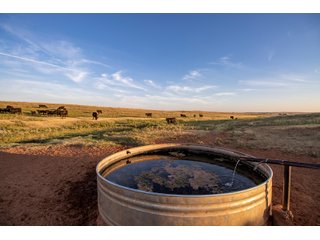 Property photo 75 - LAND AUCTION 2,427+/- ACRES OFFERED IN 14 TRACTS IN CUSTER COUNTY, OKLAHOMA