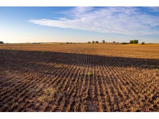 Property photo 78 - LAND AUCTION 2,427+/- ACRES OFFERED IN 14 TRACTS IN CUSTER COUNTY, OKLAHOMA