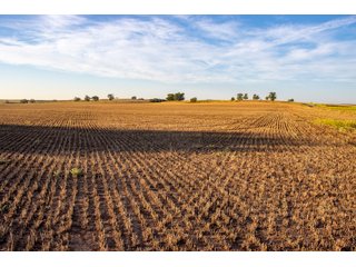 Property photo 79 - LAND AUCTION 2,427+/- ACRES OFFERED IN 14 TRACTS IN CUSTER COUNTY, OKLAHOMA