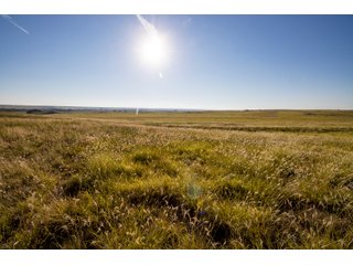 Property photo 89 - LAND AUCTION 2,427+/- ACRES OFFERED IN 14 TRACTS IN CUSTER COUNTY, OKLAHOMA