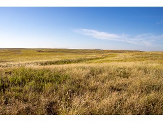 Property photo 90 - LAND AUCTION 2,427+/- ACRES OFFERED IN 14 TRACTS IN CUSTER COUNTY, OKLAHOMA