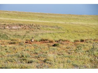 Property photo 84 - LAND AUCTION 2,427+/- ACRES OFFERED IN 14 TRACTS IN CUSTER COUNTY, OKLAHOMA