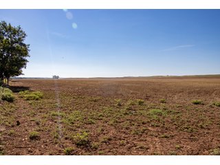 Property photo 96 - LAND AUCTION 2,427+/- ACRES OFFERED IN 14 TRACTS IN CUSTER COUNTY, OKLAHOMA