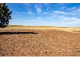 Property photo 97 - LAND AUCTION 2,427+/- ACRES OFFERED IN 14 TRACTS IN CUSTER COUNTY, OKLAHOMA