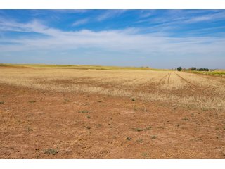 Property photo 98 - LAND AUCTION 2,427+/- ACRES OFFERED IN 14 TRACTS IN CUSTER COUNTY, OKLAHOMA