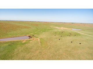 Property photo 68 - LAND AUCTION 2,427+/- ACRES OFFERED IN 14 TRACTS IN CUSTER COUNTY, OKLAHOMA