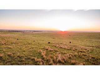 Property photo 69 - LAND AUCTION 2,427+/- ACRES OFFERED IN 14 TRACTS IN CUSTER COUNTY, OKLAHOMA
