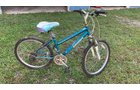 Property photo 64 - TIMED ONLINE ONLY PERSONAL PROPERTY AUCTION - ALLEN COUNTY, INDIANA