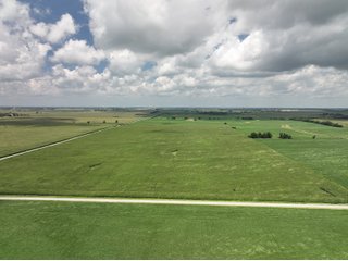Property photo 1 - LAND AUCTION - 80+/- ACRES OFFERED IN 2 TRACTS IN NEWTON COUNTY, INDIANA