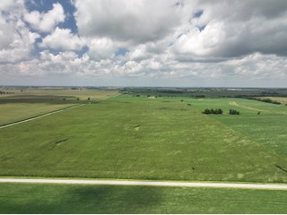 Property photo 2 - LAND AUCTION - 80+/- ACRES OFFERED IN 2 TRACTS IN NEWTON COUNTY, INDIANA