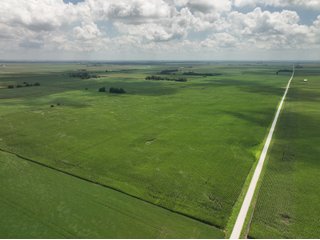 Property photo 3 - LAND AUCTION - 80+/- ACRES OFFERED IN 2 TRACTS IN NEWTON COUNTY, INDIANA