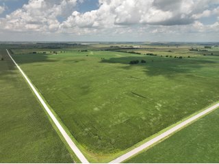 Property photo 4 - LAND AUCTION - 80+/- ACRES OFFERED IN 2 TRACTS IN NEWTON COUNTY, INDIANA