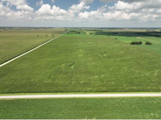 Property photo 5 - LAND AUCTION - 80+/- ACRES OFFERED IN 2 TRACTS IN NEWTON COUNTY, INDIANA