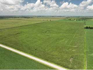 Property photo 6 - LAND AUCTION - 80+/- ACRES OFFERED IN 2 TRACTS IN NEWTON COUNTY, INDIANA
