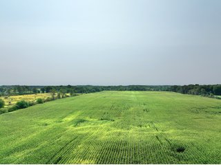 Property photo 1 - LAND AUCTION - 43.5+/- ACRES OFFERED IN 3 TRACTS IN STEUBEN COUNTY, IN
