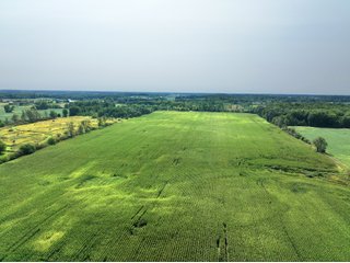 Property photo 2 - LAND AUCTION - 43.5+/- ACRES OFFERED IN 3 TRACTS IN STEUBEN COUNTY, IN