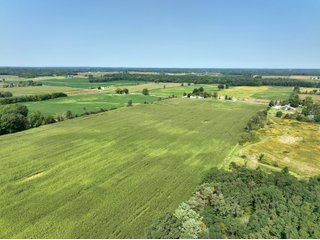 Property photo 4 - LAND AUCTION - 43.5+/- ACRES OFFERED IN 3 TRACTS IN STEUBEN COUNTY, IN