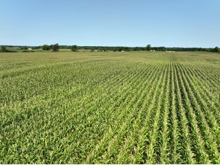 Property photo 5 - LAND AUCTION - 43.5+/- ACRES OFFERED IN 3 TRACTS IN STEUBEN COUNTY, IN