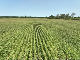 Property photo 6 - LAND AUCTION - 43.5+/- ACRES OFFERED IN 3 TRACTS IN STEUBEN COUNTY, IN