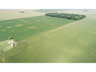 Property photo 4 - PRIME LAND AUCTION 159+/- ACRES OFFERED IN 2 TRACTS IN CARROLL COUNTY, INDIANA