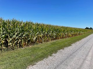 Property photo 6 - PRIME LAND AUCTION 159+/- ACRES OFFERED IN 2 TRACTS IN CARROLL COUNTY, INDIANA