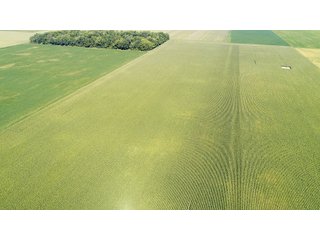 Property photo 8 - PRIME LAND AUCTION 159+/- ACRES OFFERED IN 2 TRACTS IN CARROLL COUNTY, INDIANA