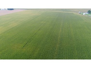 Property photo 9 - PRIME LAND AUCTION 159+/- ACRES OFFERED IN 2 TRACTS IN CARROLL COUNTY, INDIANA