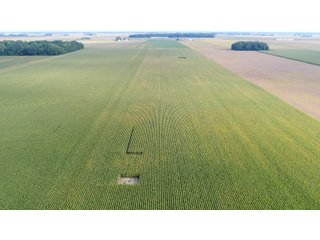 Property photo 10 - PRIME LAND AUCTION 159+/- ACRES OFFERED IN 2 TRACTS IN CARROLL COUNTY, INDIANA