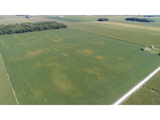 Property photo 11 - PRIME LAND AUCTION 159+/- ACRES OFFERED IN 2 TRACTS IN CARROLL COUNTY, INDIANA