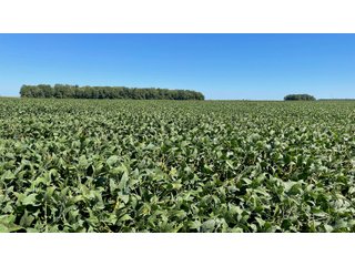 Property photo 2 - PRIME LAND AUCTION 159+/- ACRES OFFERED IN 2 TRACTS IN CARROLL COUNTY, INDIANA