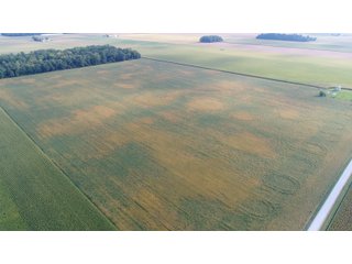 Property photo 12 - PRIME LAND AUCTION 159+/- ACRES OFFERED IN 2 TRACTS IN CARROLL COUNTY, INDIANA