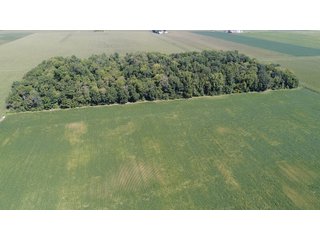 Property photo 13 - PRIME LAND AUCTION 159+/- ACRES OFFERED IN 2 TRACTS IN CARROLL COUNTY, INDIANA