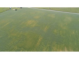 Property photo 15 - PRIME LAND AUCTION 159+/- ACRES OFFERED IN 2 TRACTS IN CARROLL COUNTY, INDIANA