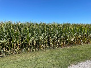 Property photo 17 - PRIME LAND AUCTION 159+/- ACRES OFFERED IN 2 TRACTS IN CARROLL COUNTY, INDIANA