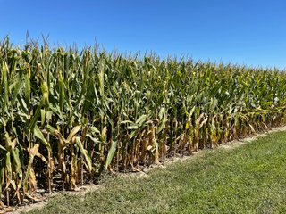 Property photo 18 - PRIME LAND AUCTION 159+/- ACRES OFFERED IN 2 TRACTS IN CARROLL COUNTY, INDIANA