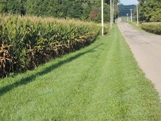 Property photo 16 - LAND AUCTION - 130+/- ACRES OFFERED IN 3 TRACTS IN WAYNE COUNTY, INDIANA